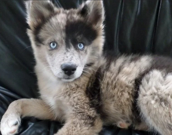 user avatar image for Raccoon172