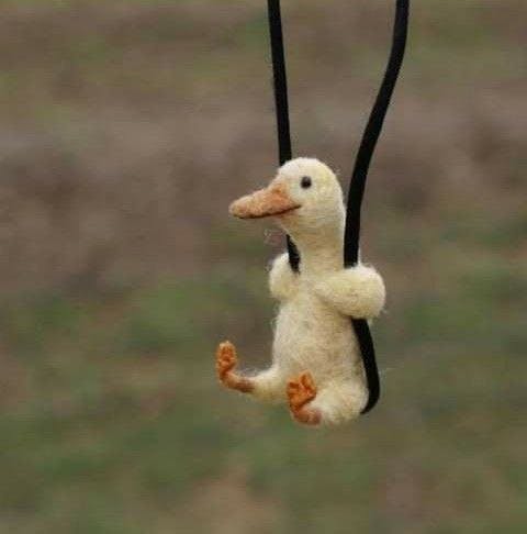 user avatar image for Guillermo 