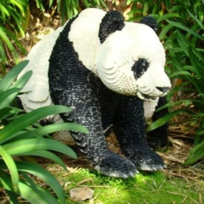 user avatar image for Matthew Haahr