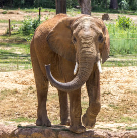 user avatar image for Michael Gonzalez