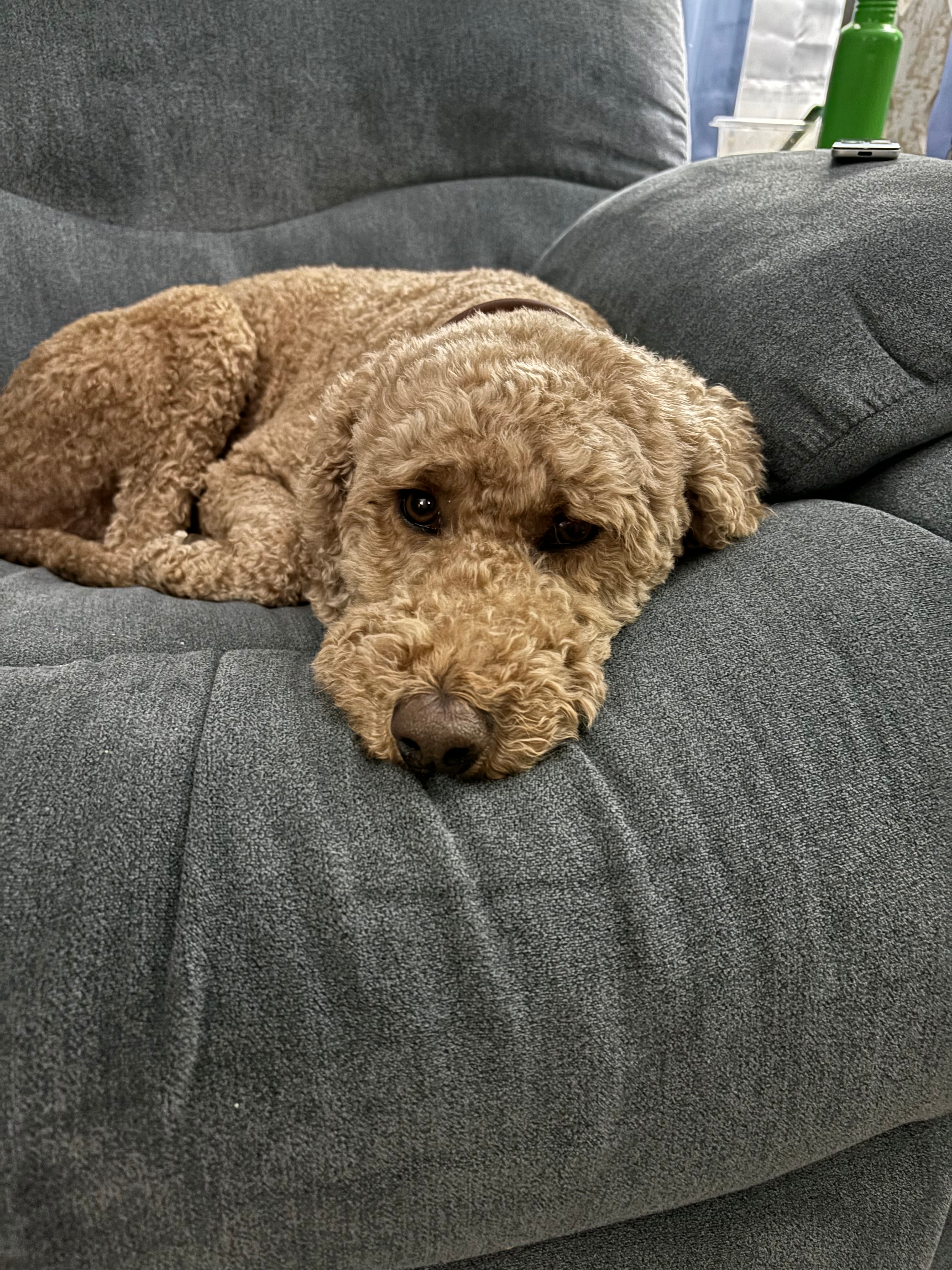 user avatar image for Lucas Raak