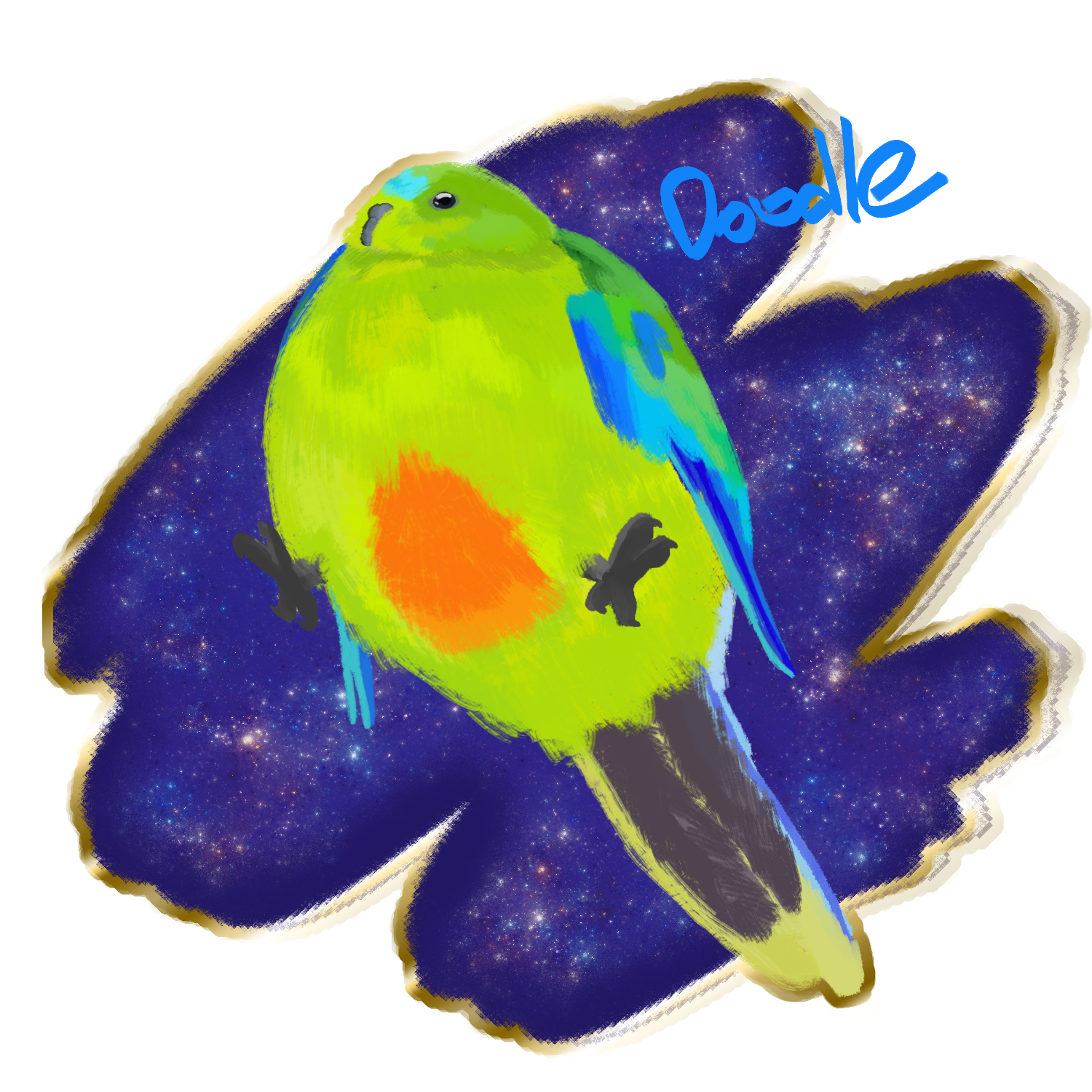 CHONKIER Parrot and BIG Galaxy 1