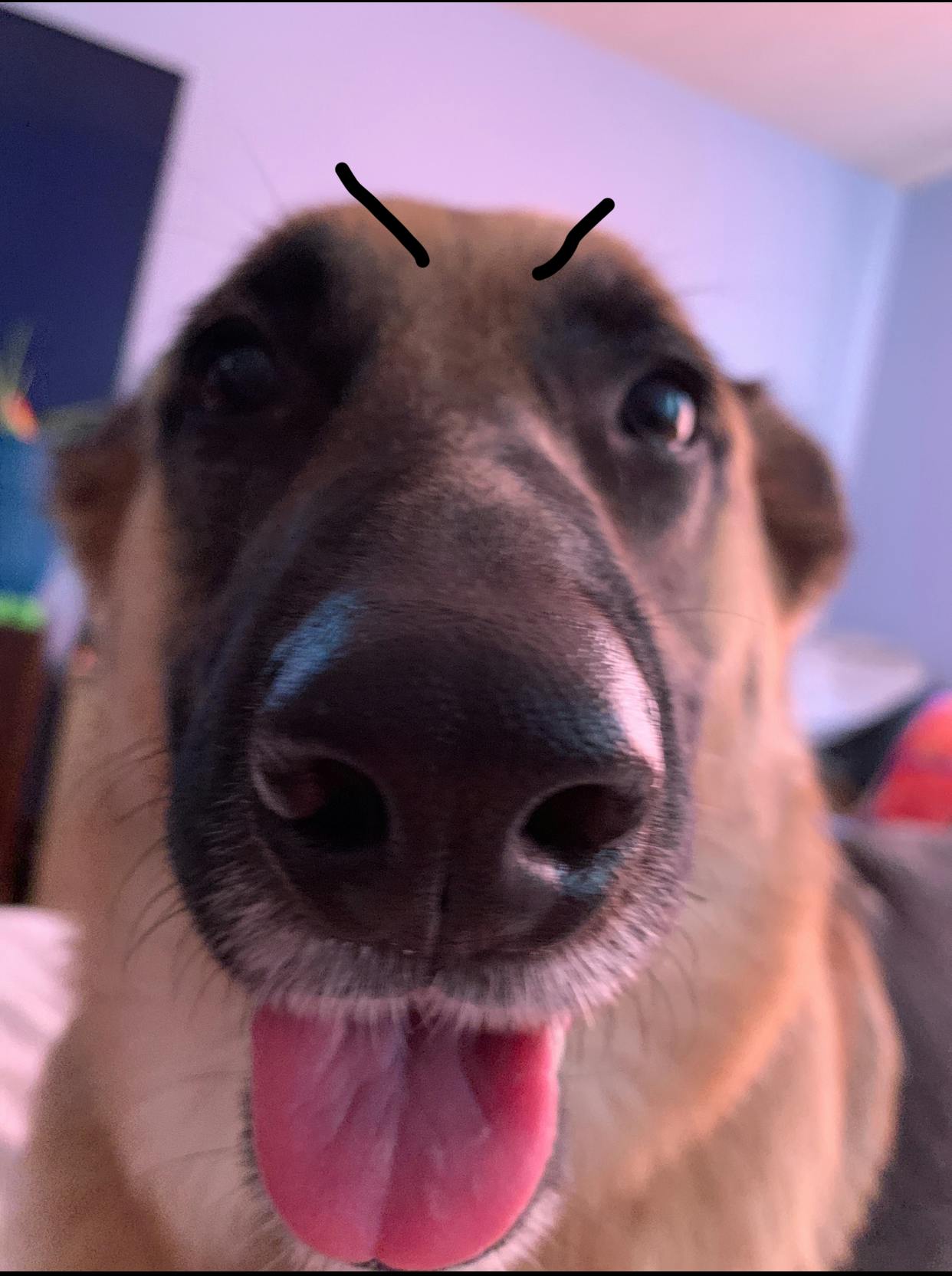 user avatar image for Marsh