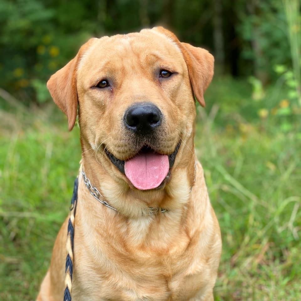 user avatar image for Regina Head