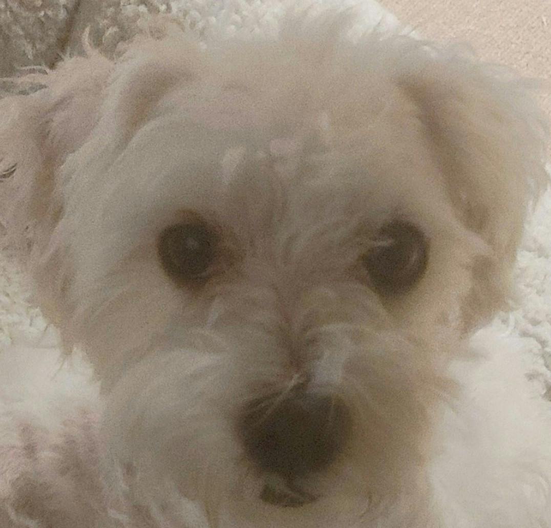 user avatar image for Jim Andersen 