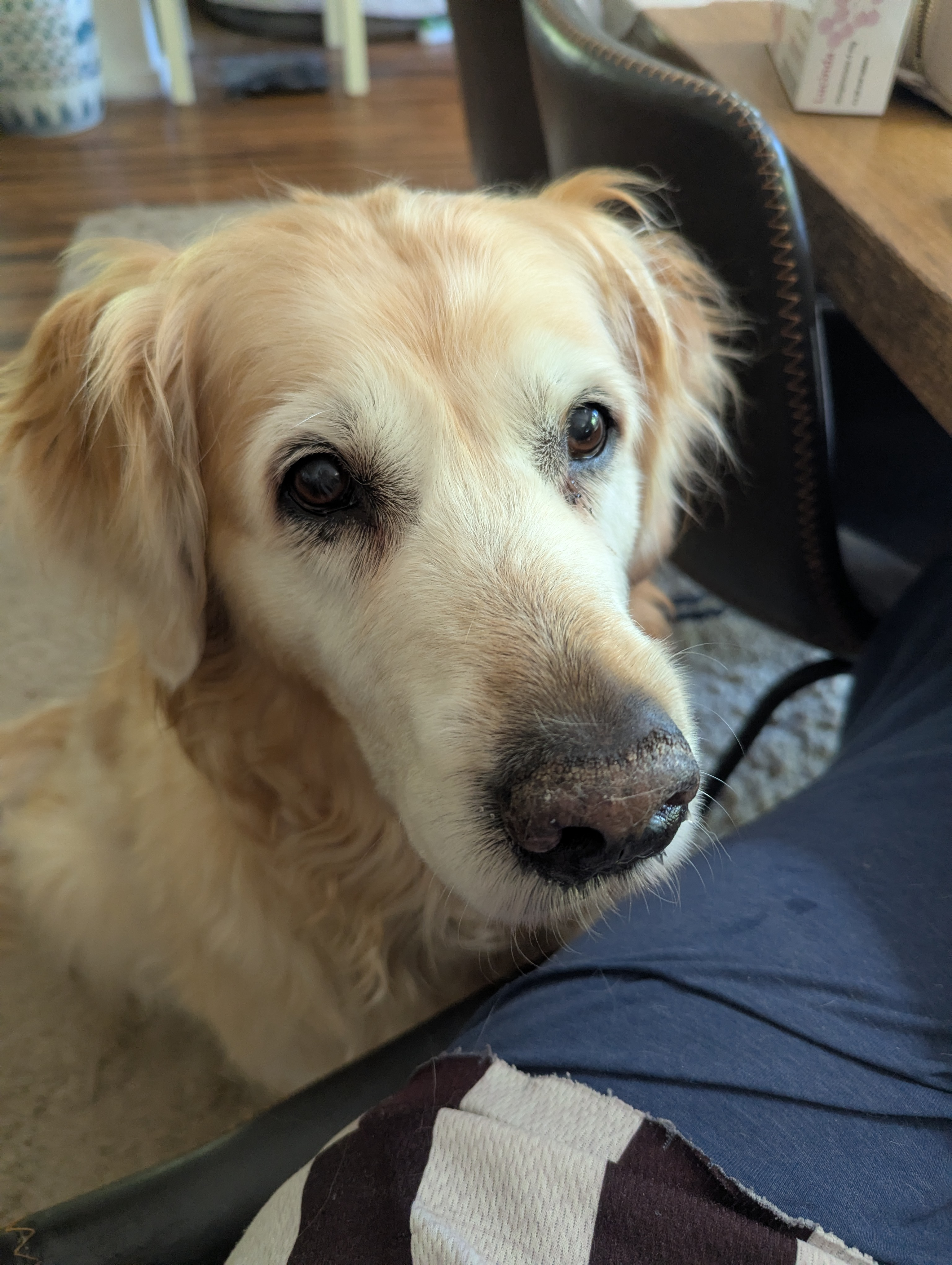 user avatar image for Lloyd