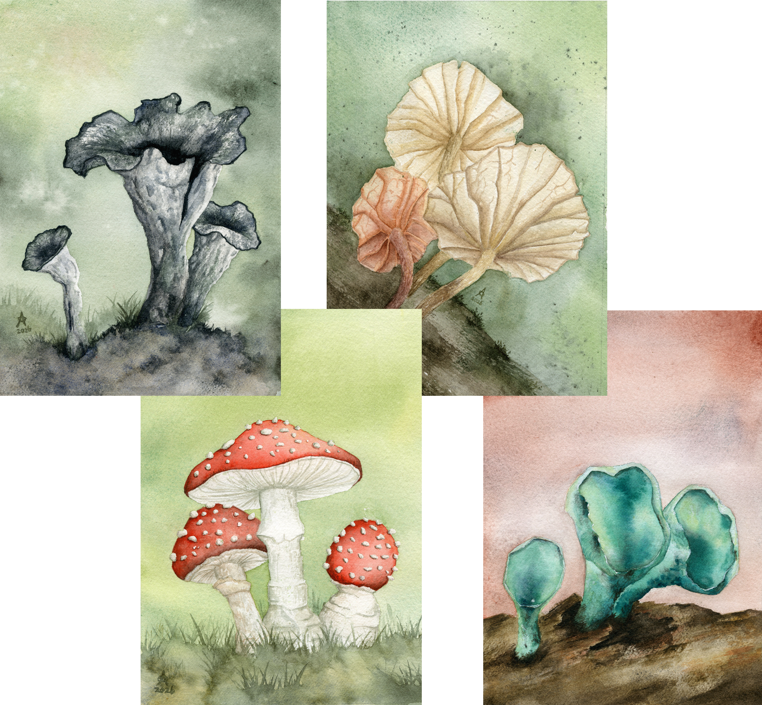 4x Fungi & Faerie Art prints 