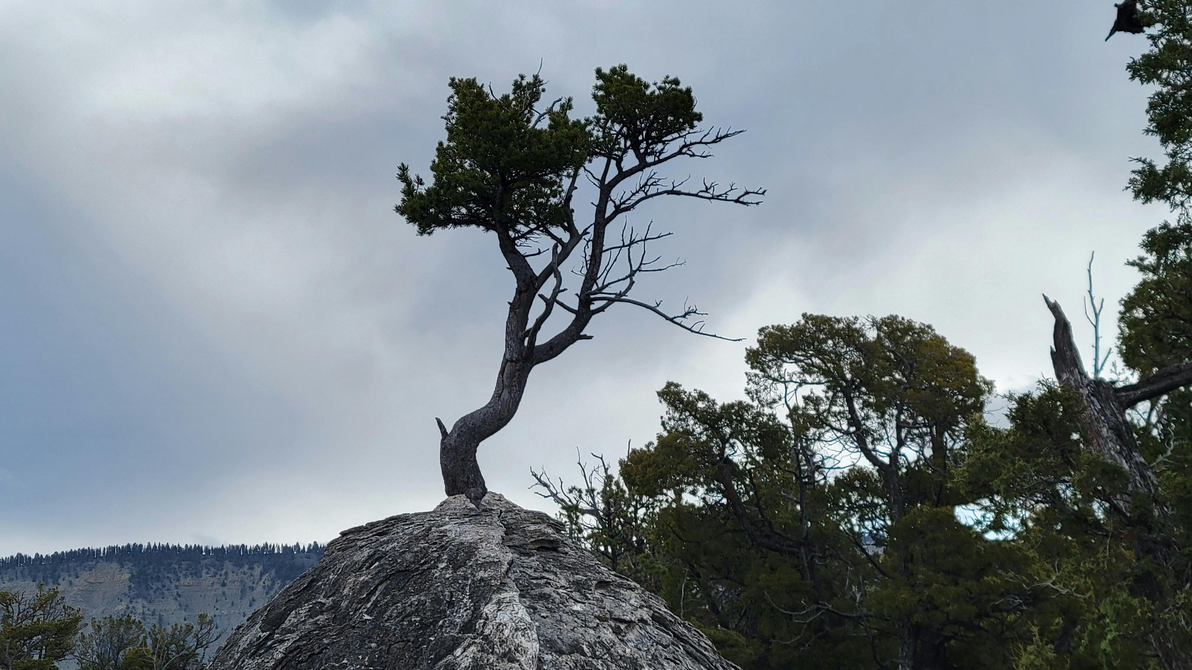 user avatar image for David Batson