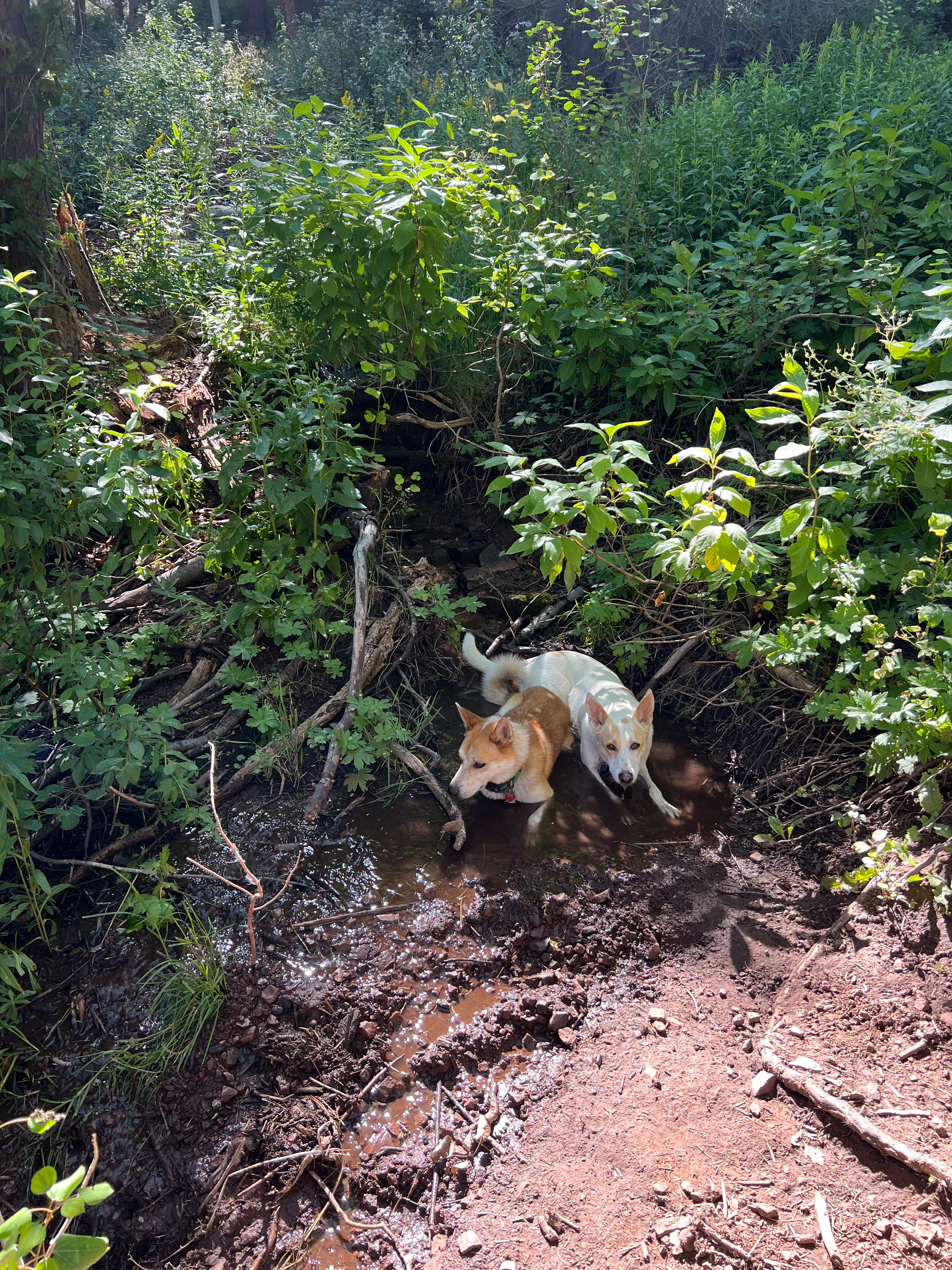 user avatar image for Jess M