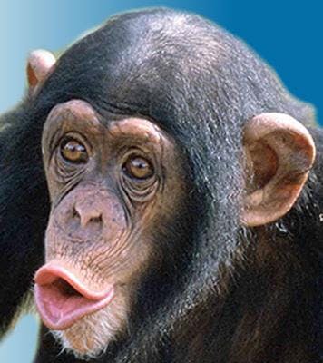 user avatar image for Kheotour