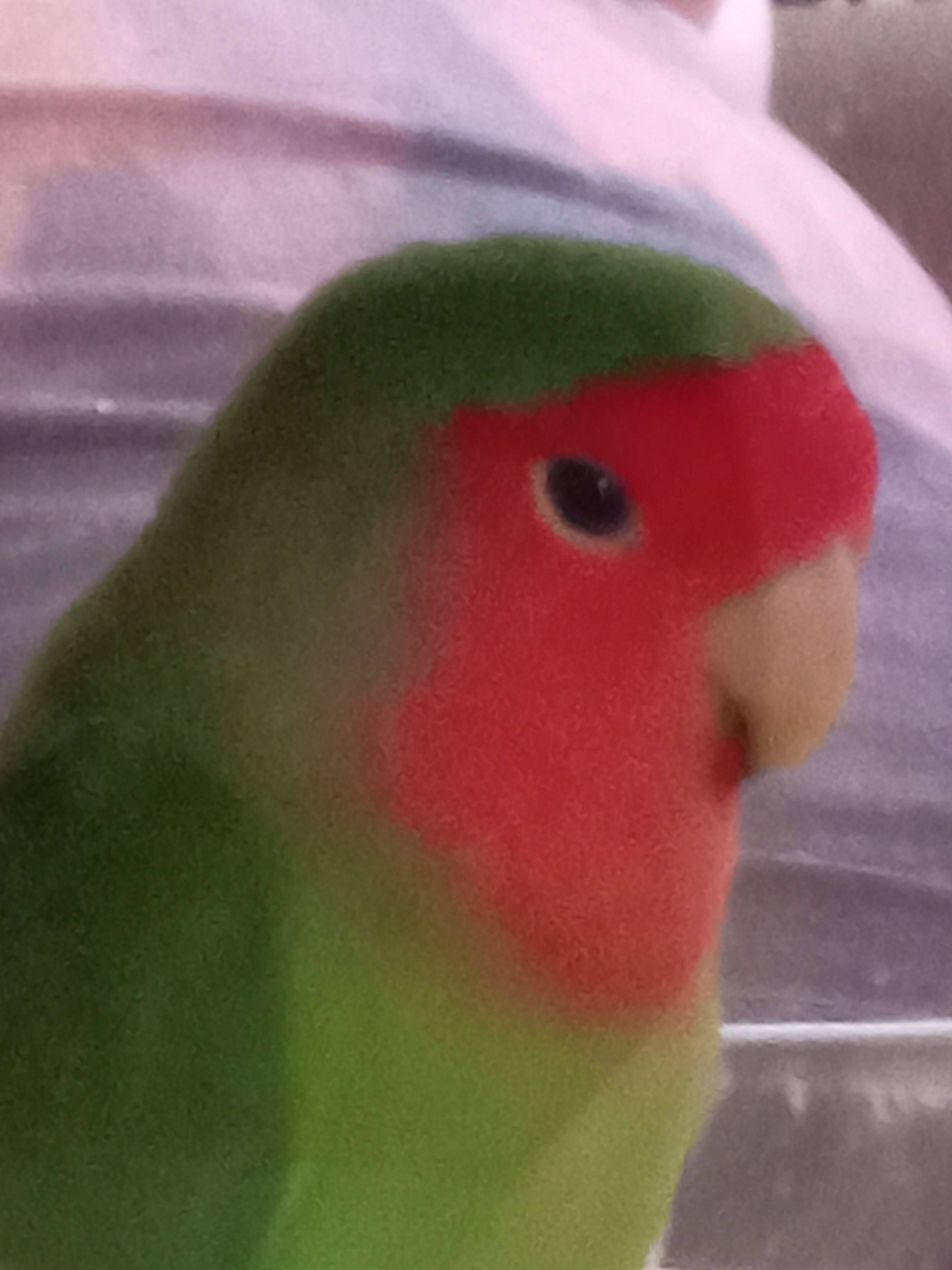 user avatar image for Cecilie
