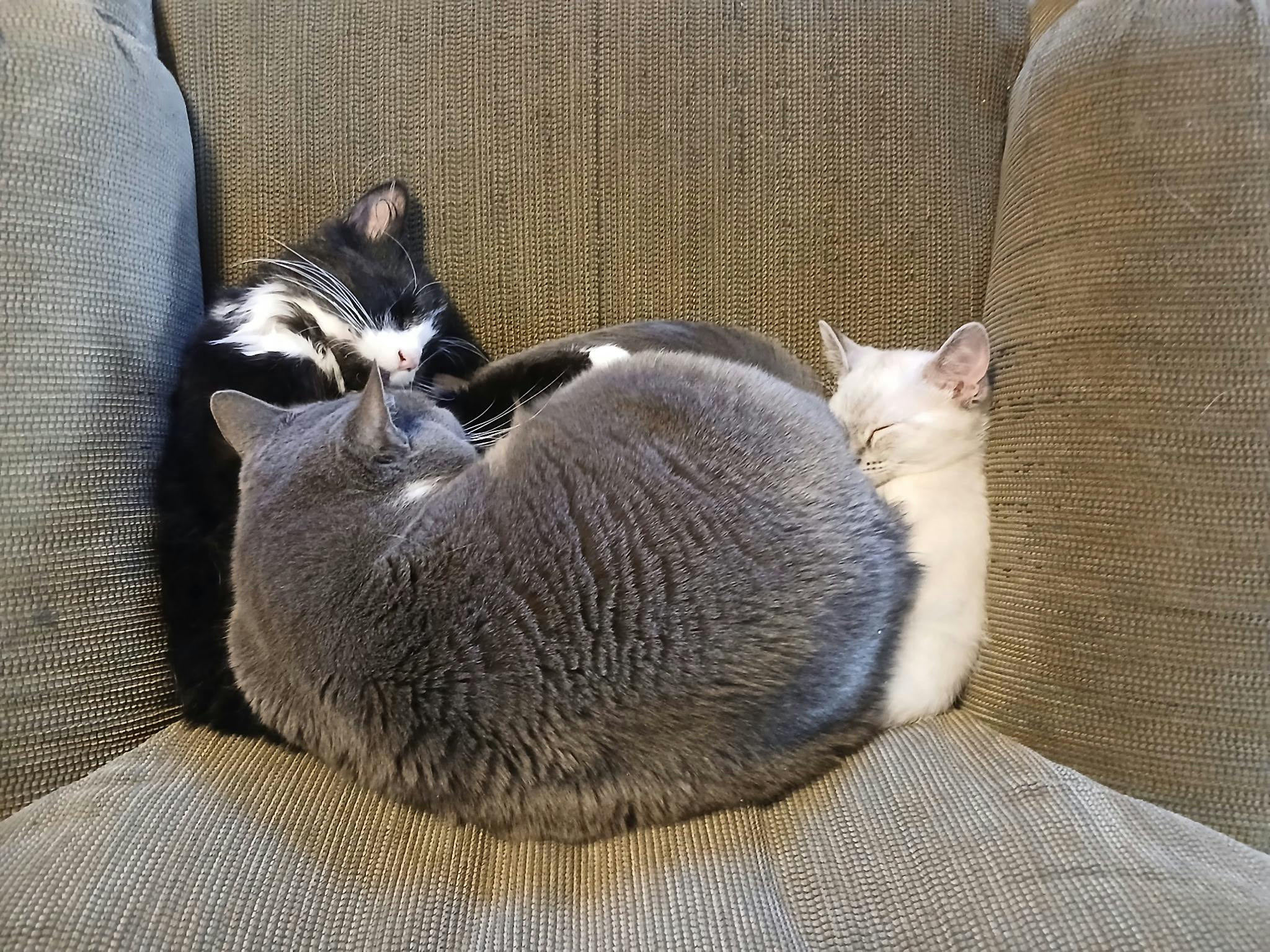 user avatar image for Mothra202