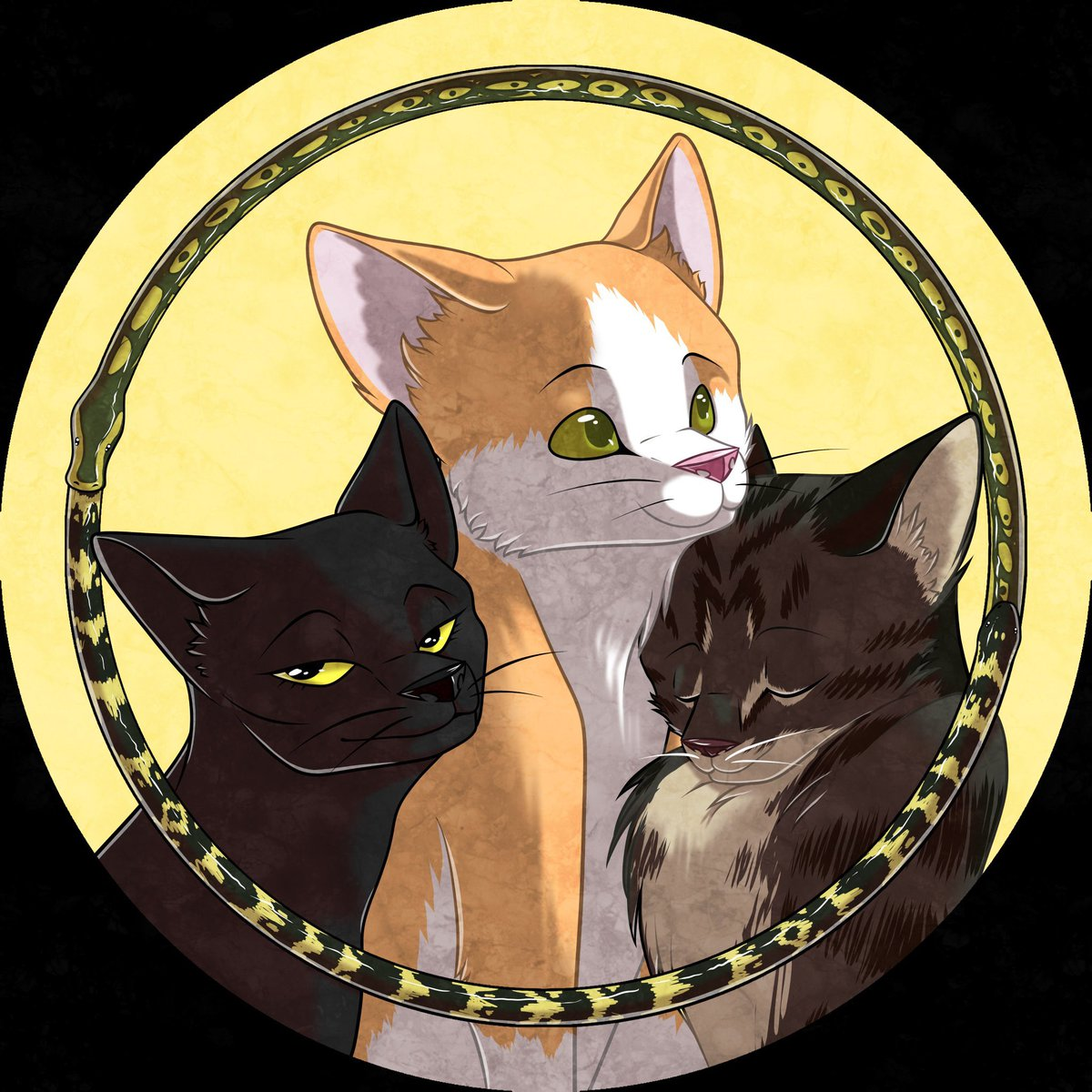 user avatar image for Rowan B