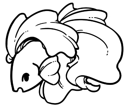 Betta Fish (another vote for colours)