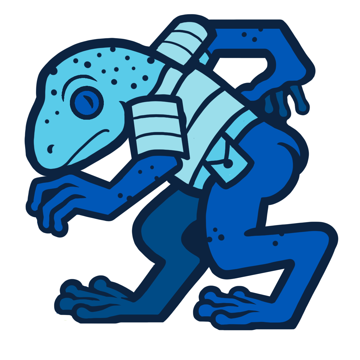 Blue Poison Dart Grung