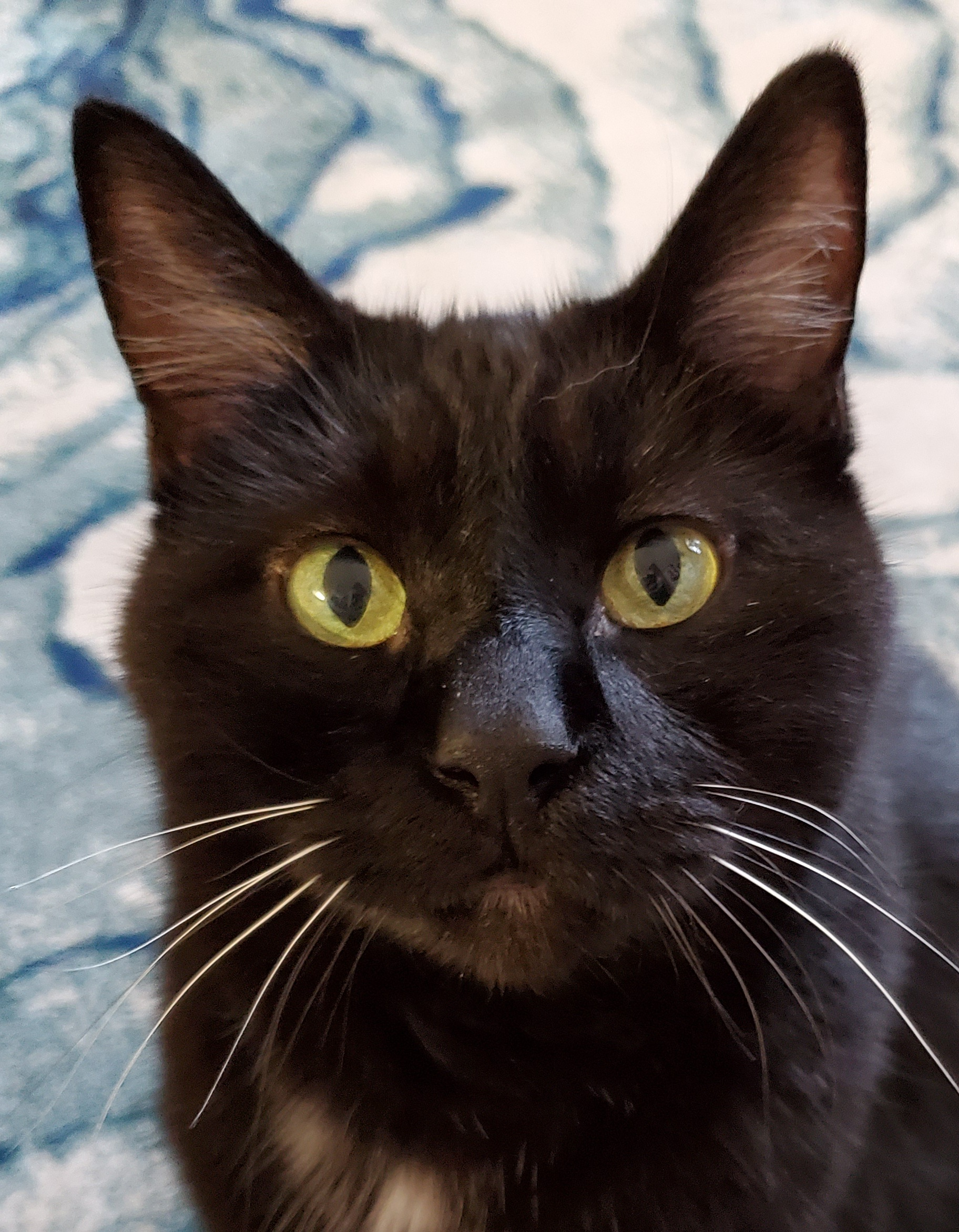 user avatar image for Sherlock Ward