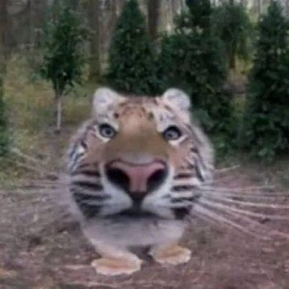 user avatar image for Kenzie M.