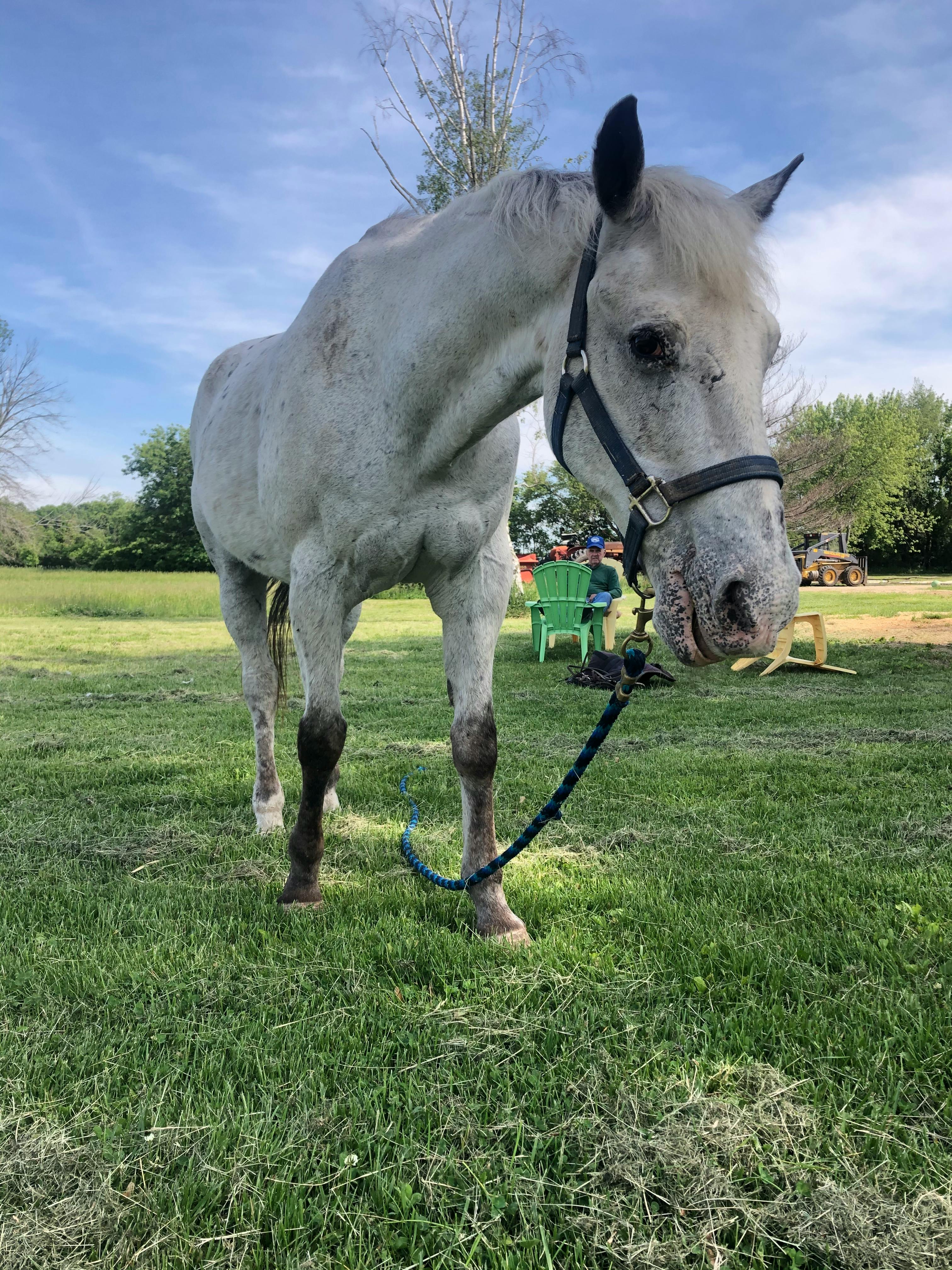 user avatar image for ObiwanJenobi 