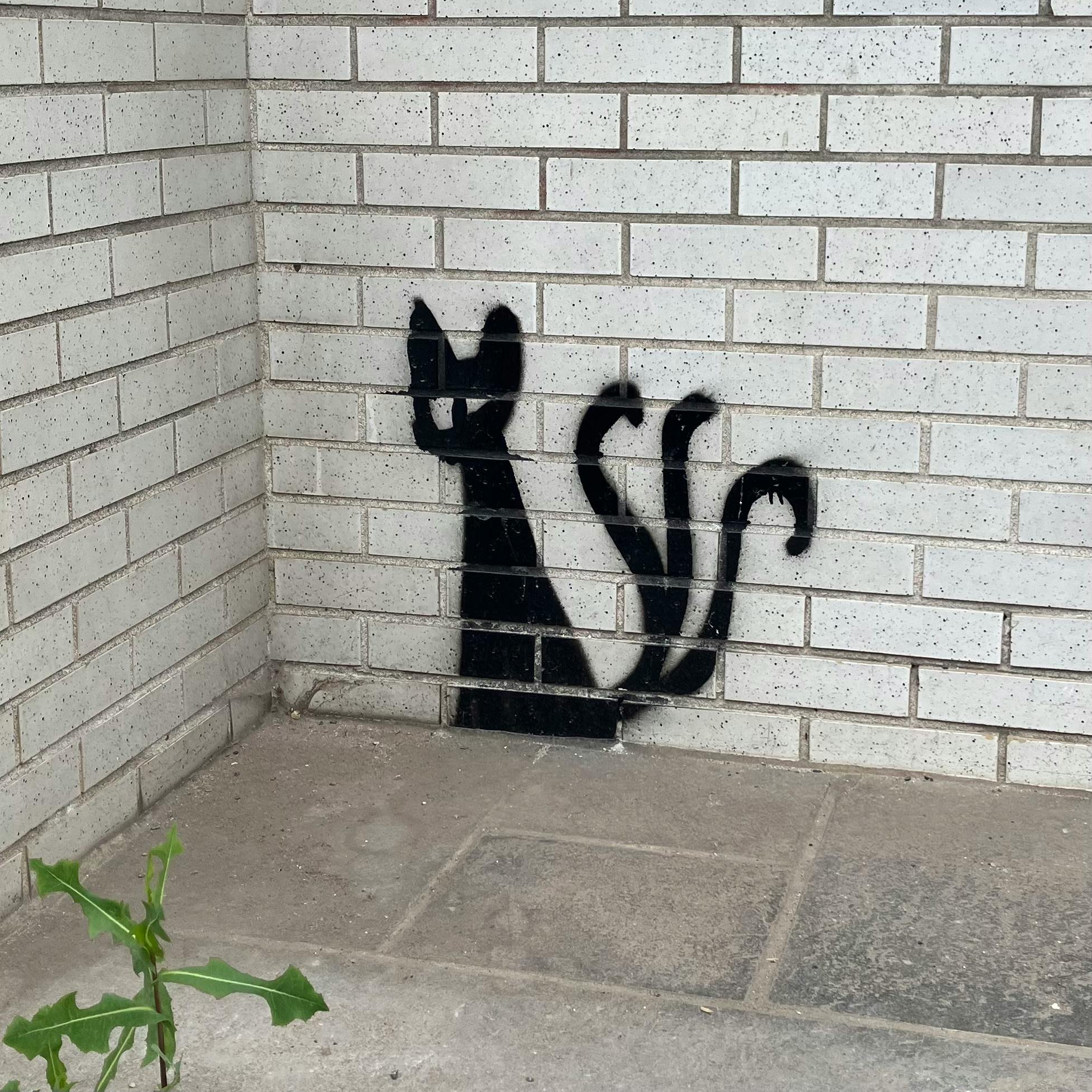 user avatar image for Jun