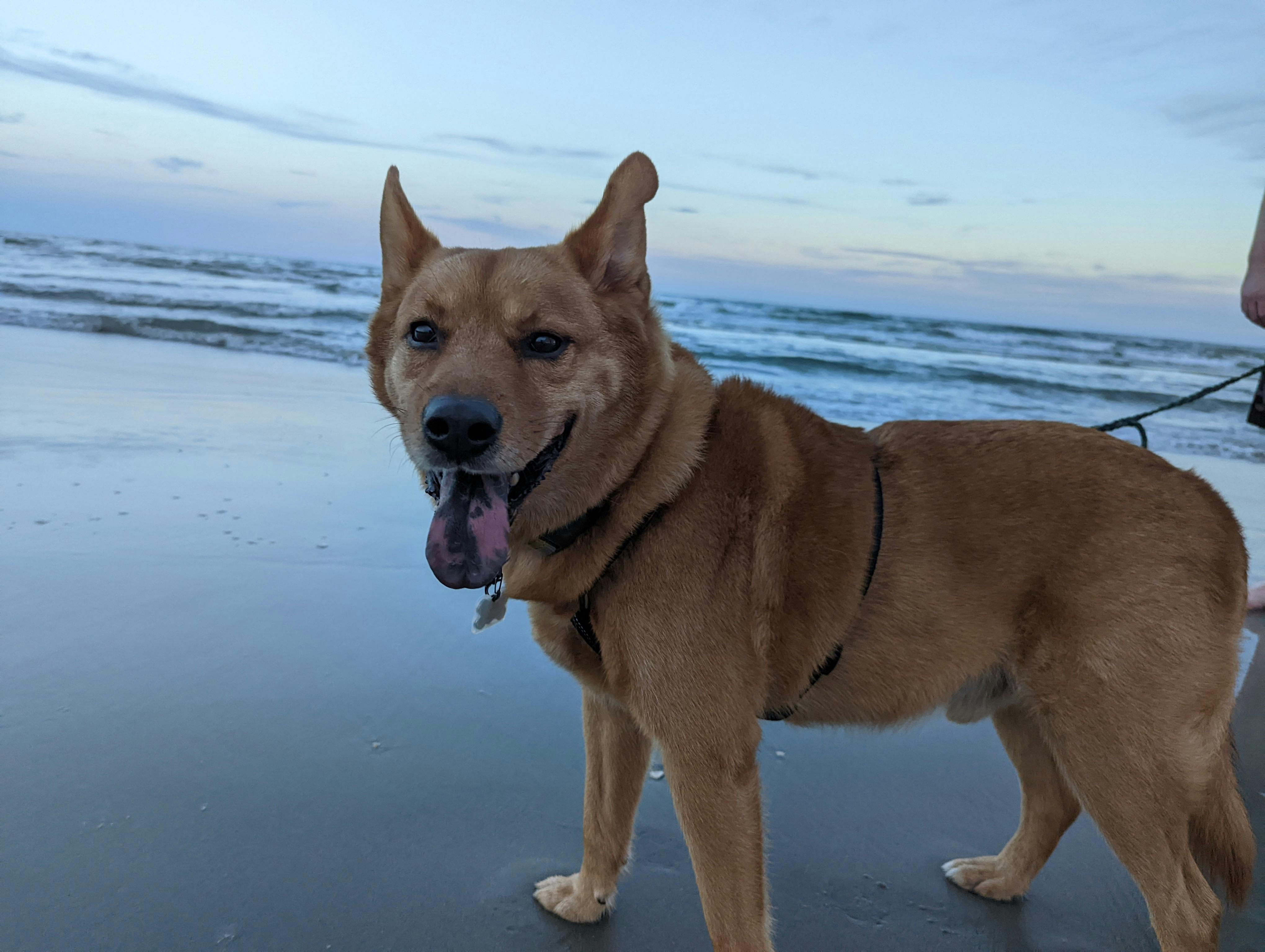 user avatar image for theoddone2727