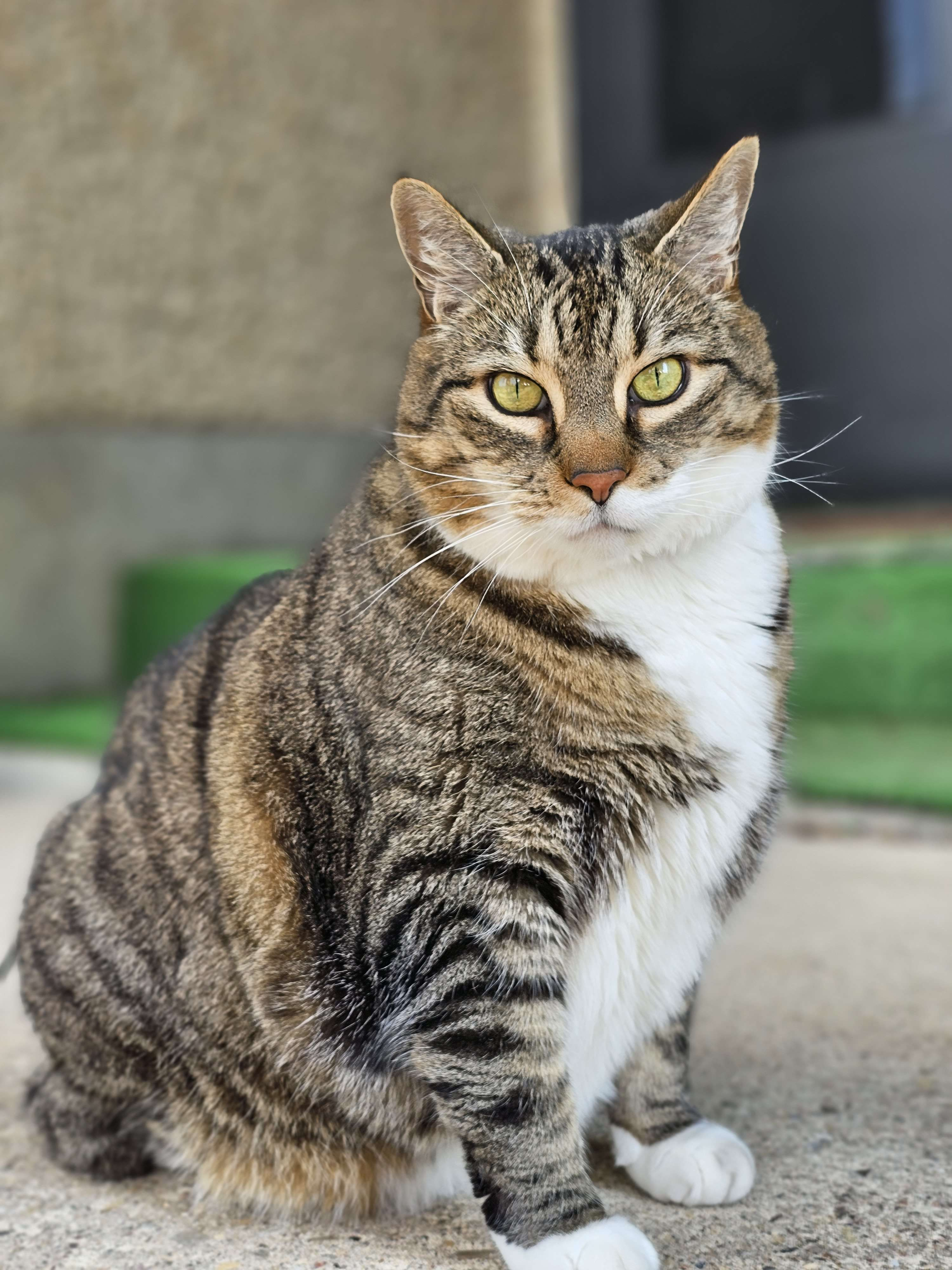 user avatar image for Salvantra