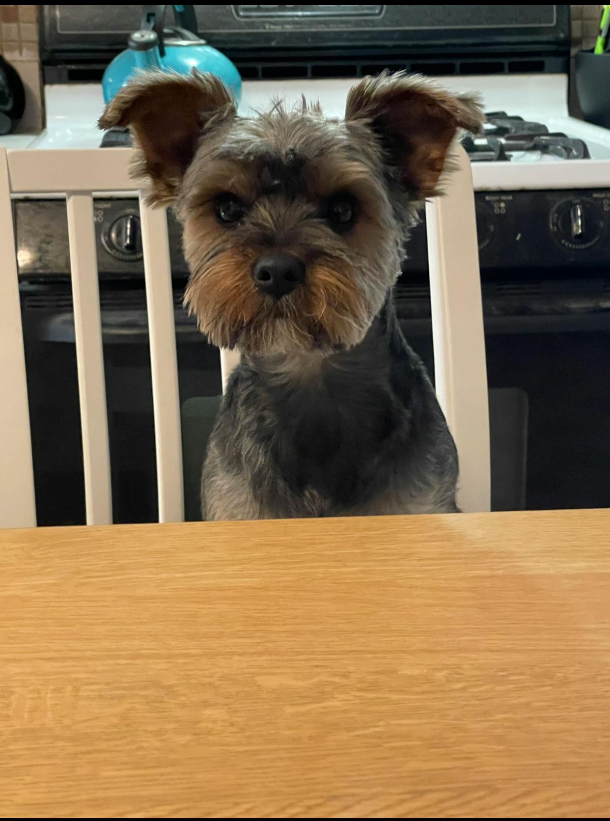 user avatar image for Kara Duca Johnson