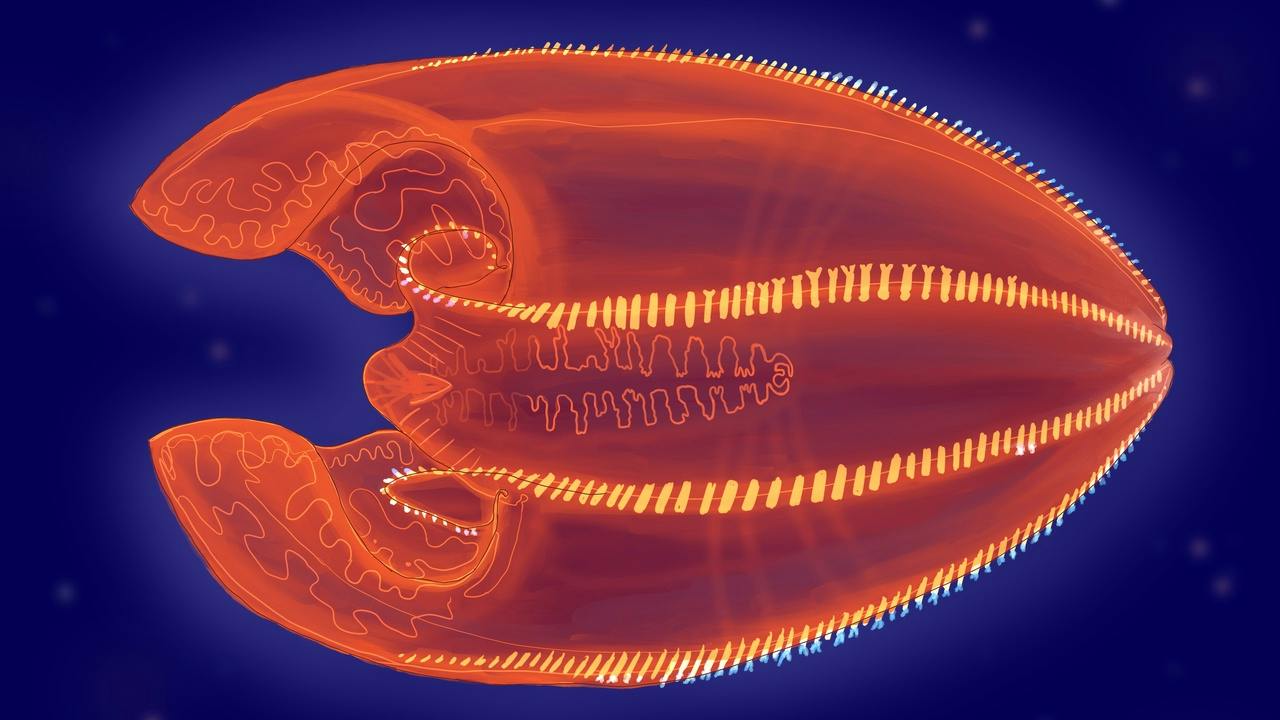 project cover image