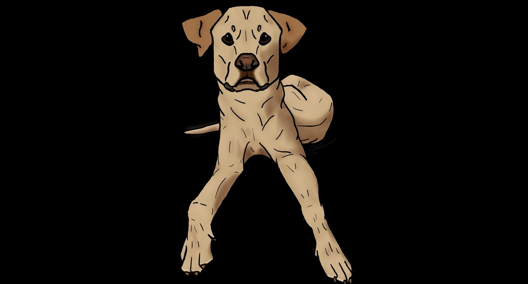 user avatar image for Amanda S.