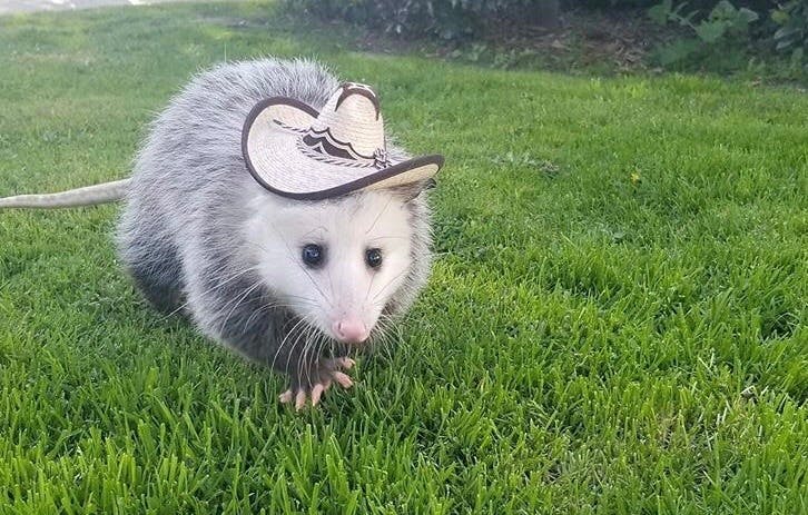 user avatar image for M.