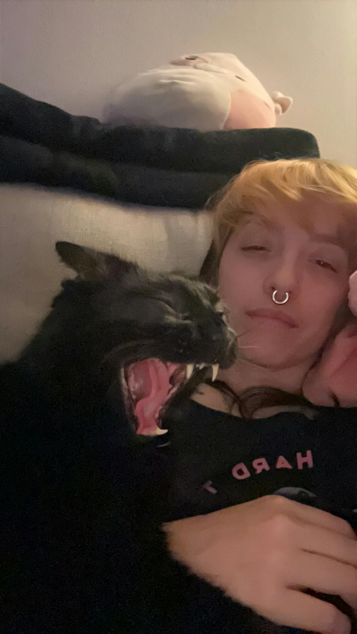 user avatar image for Shannon