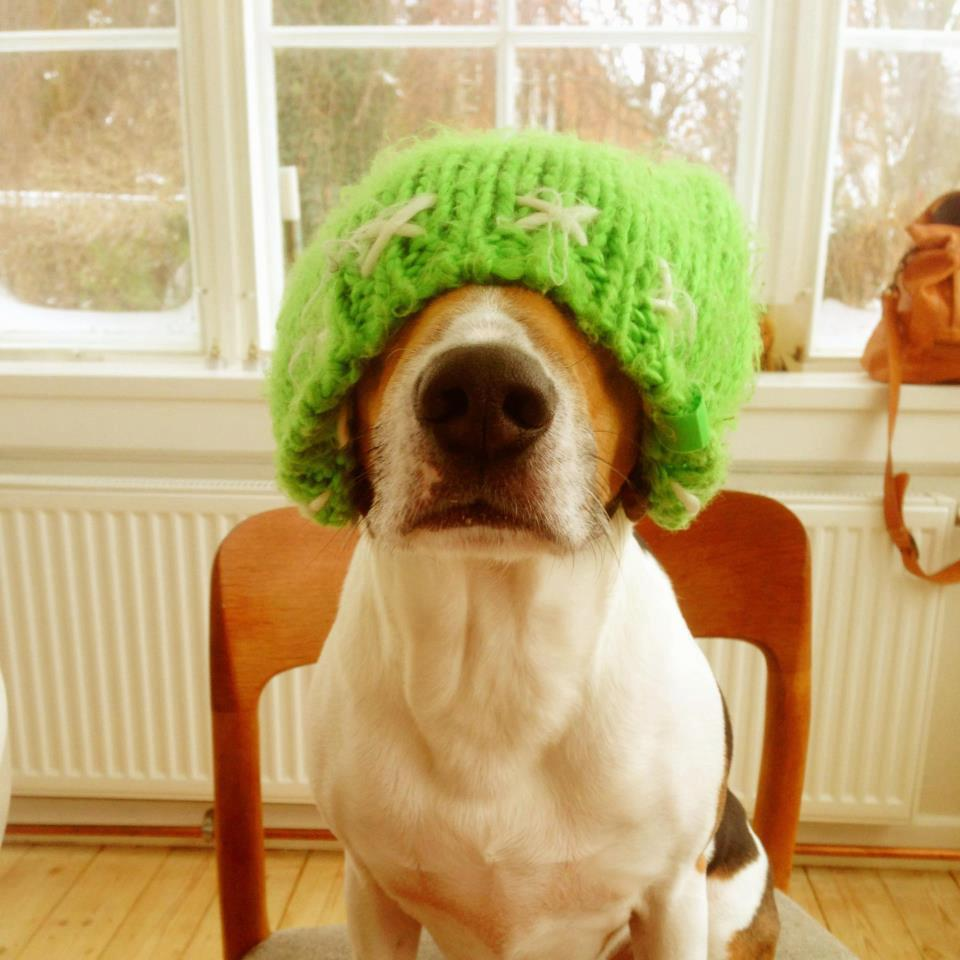 user avatar image for Palle Poulsen