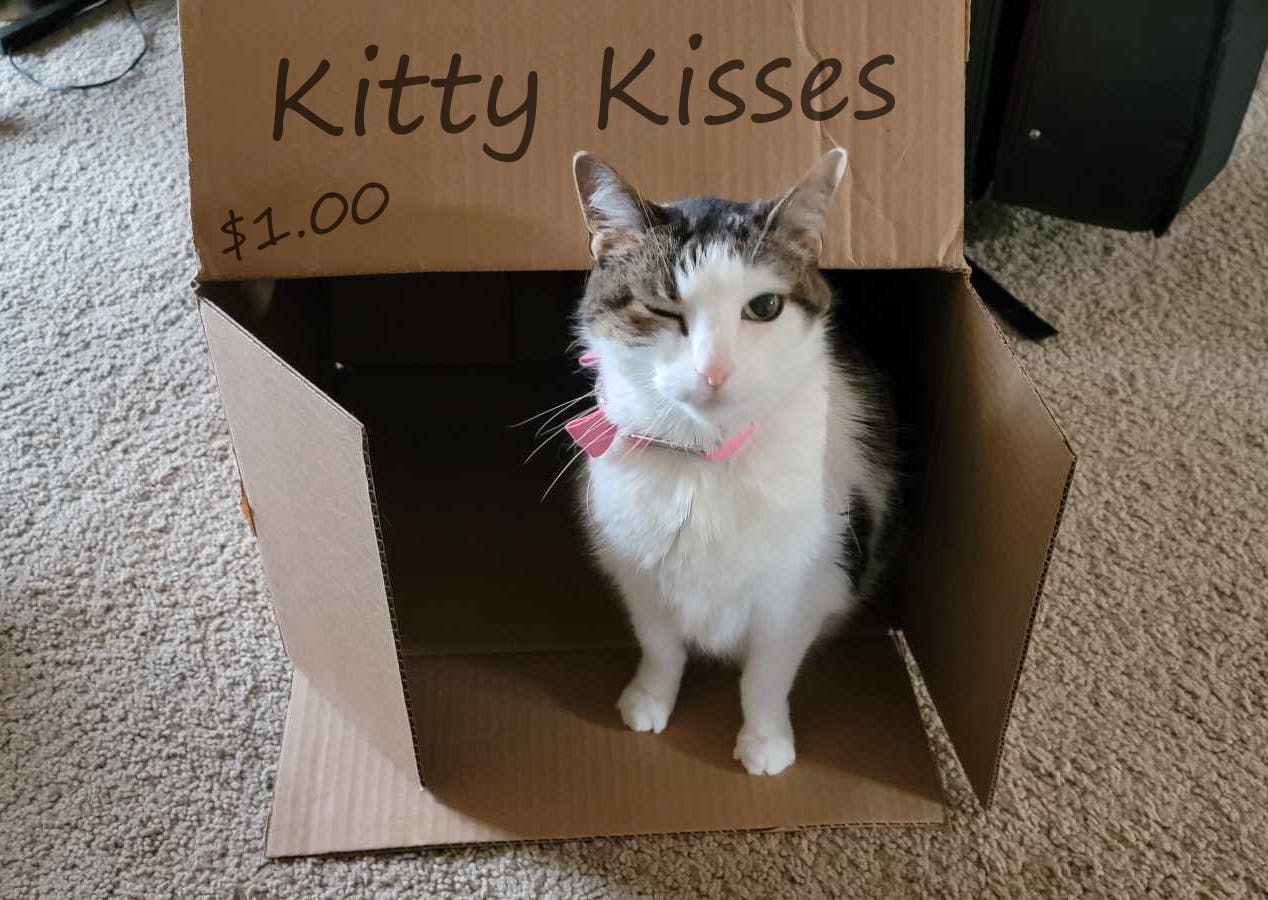 user avatar image for Kirsie