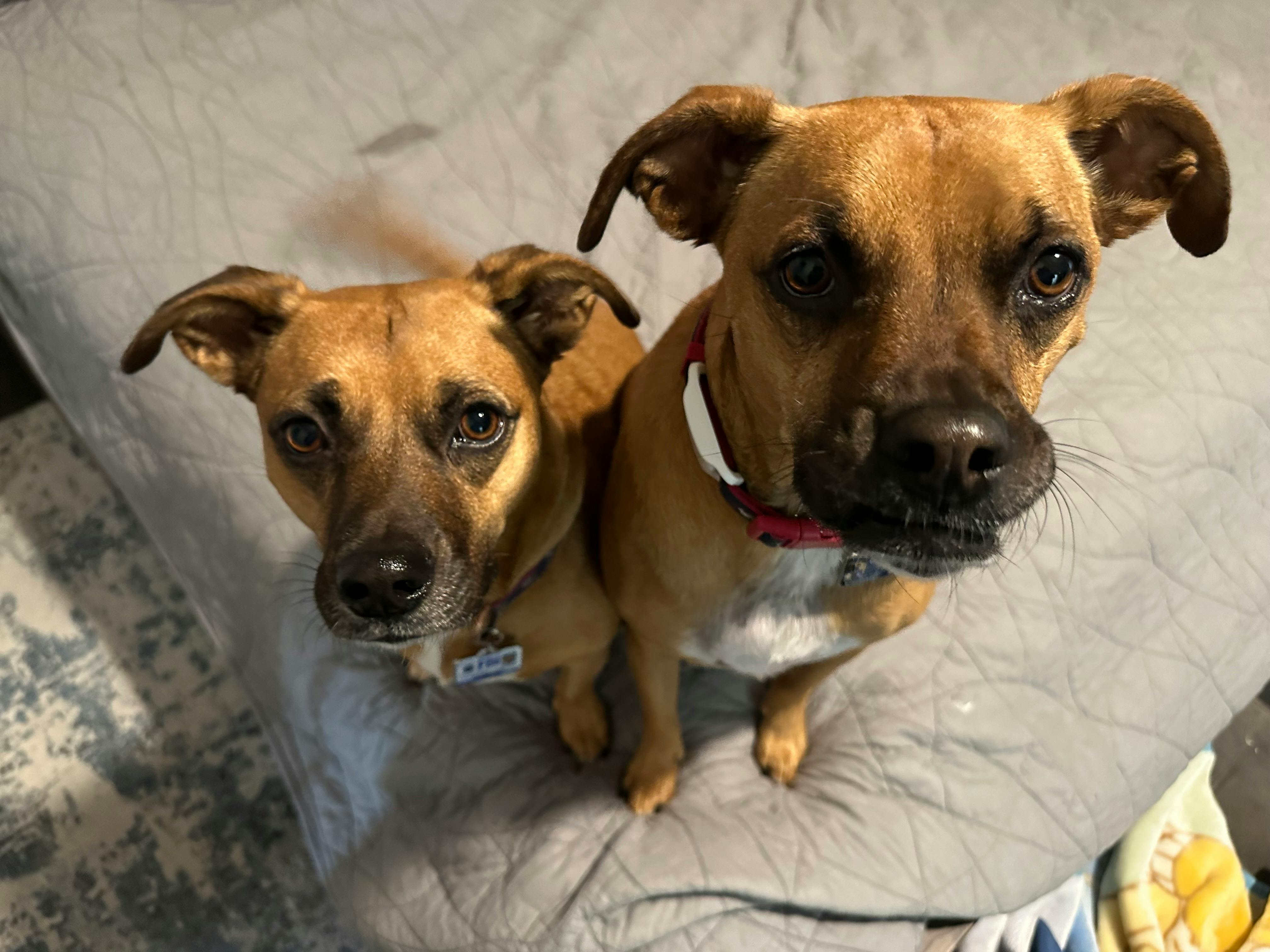 user avatar image for Jae Rose