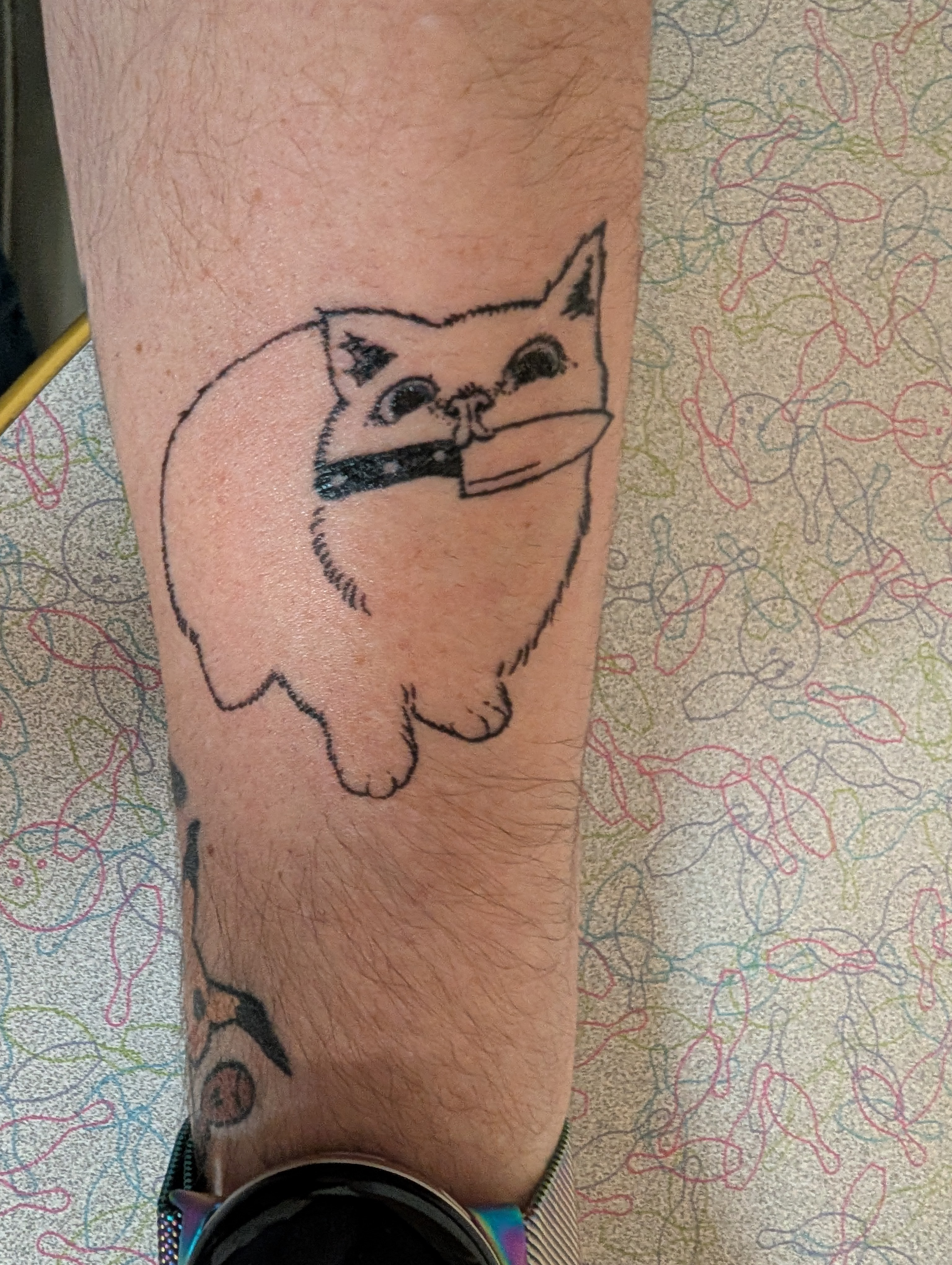 user avatar image for Tracy carlyle 