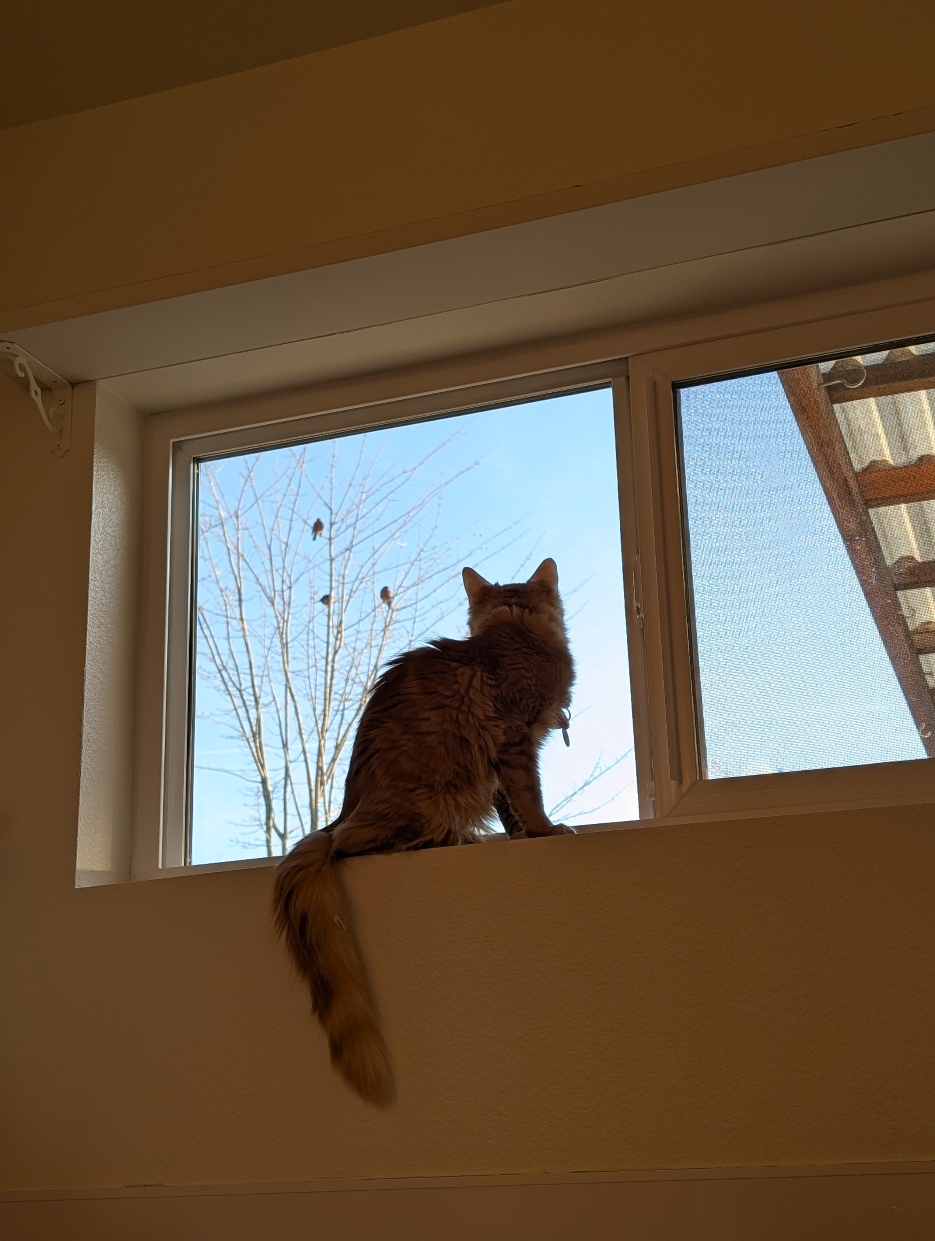 user avatar image for Alivia