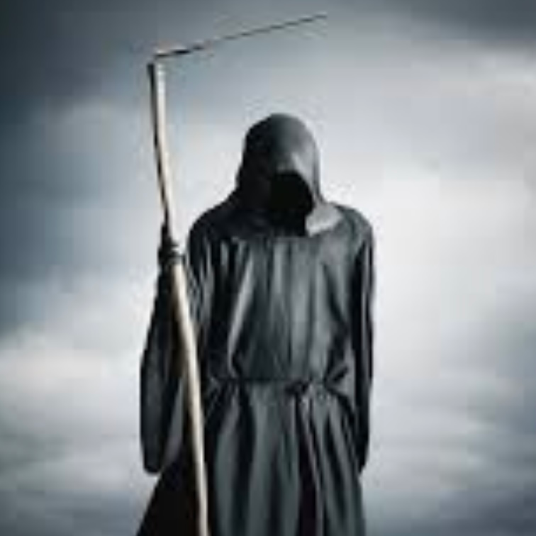 user avatar image for Steve Baker