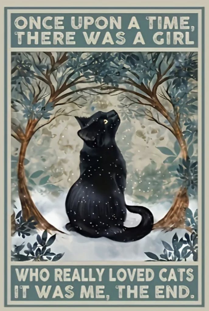 user avatar image for Nancy S