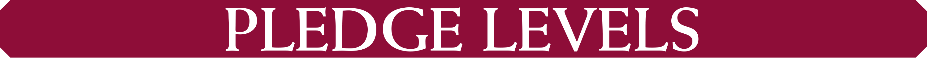 Header: Pledge levels.