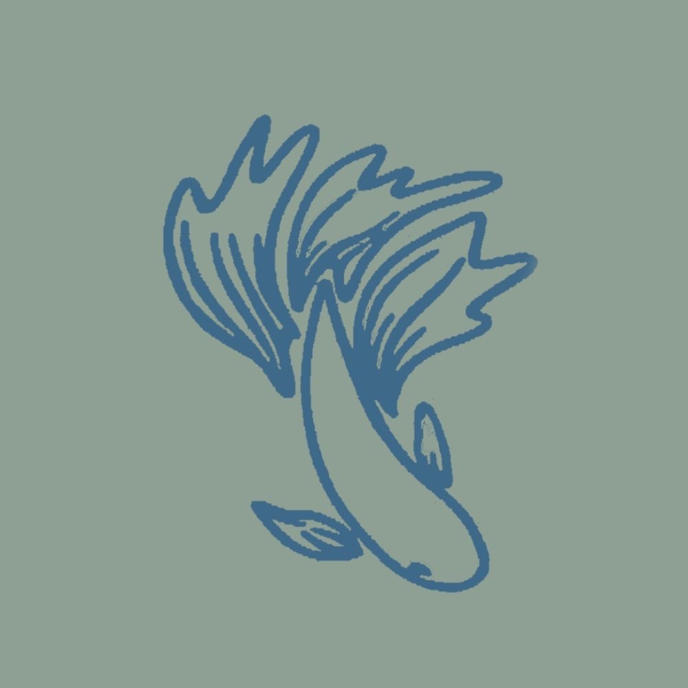 user avatar image for Hannah