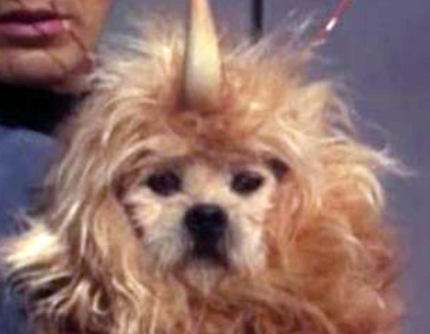 user avatar image for EKW/Bigbigtruck