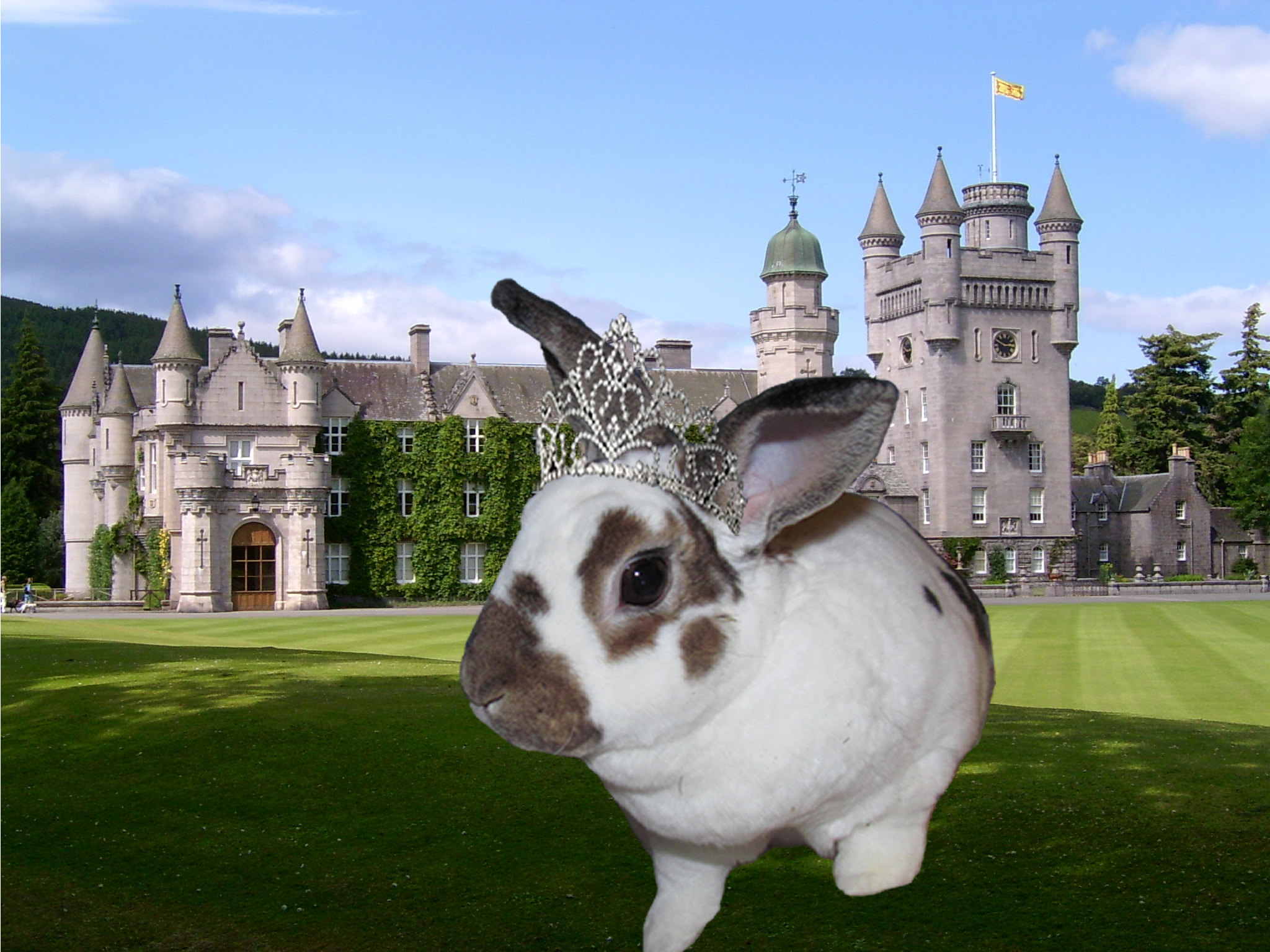 user avatar image for Bunnycat