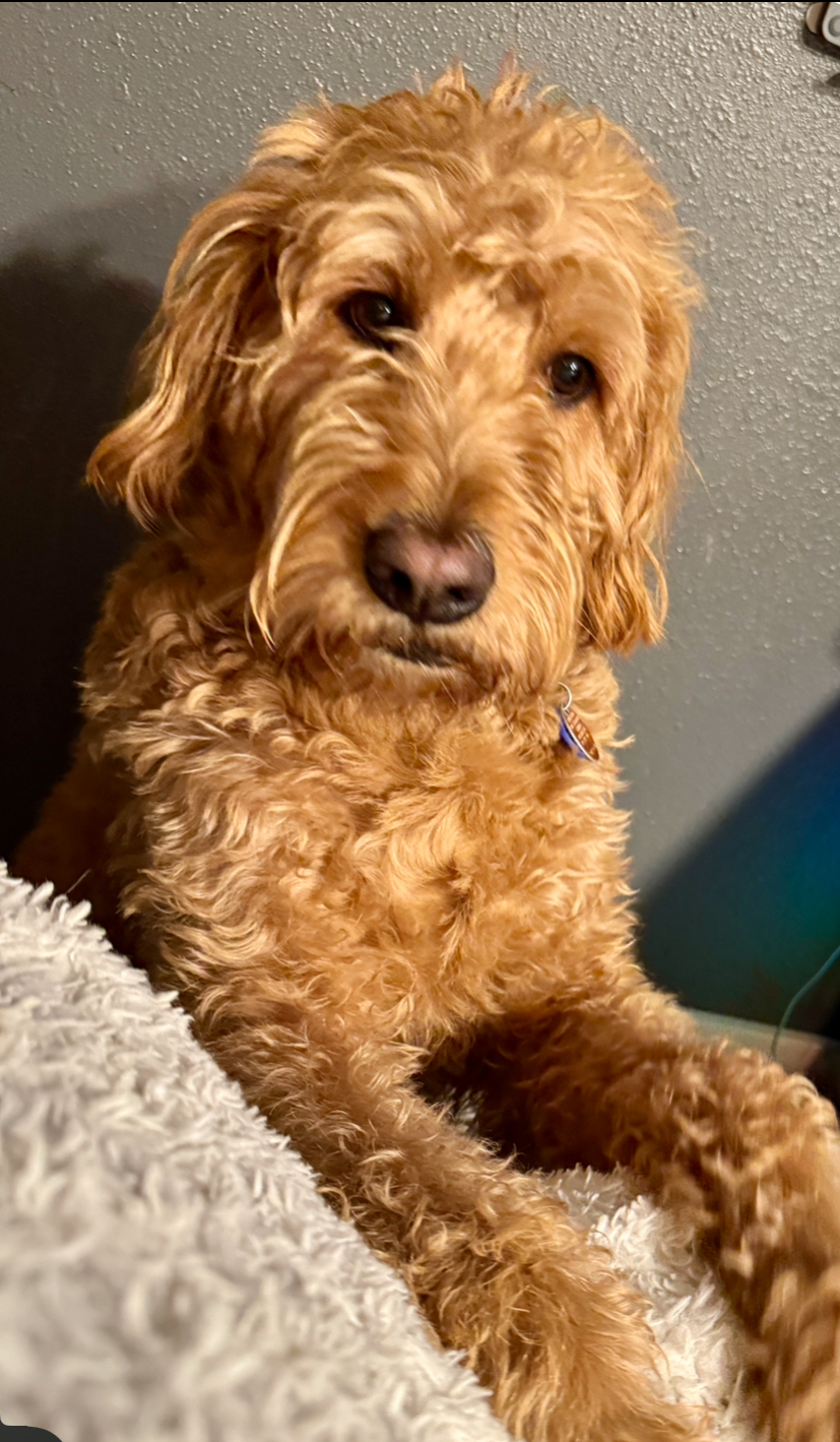 user avatar image for Rocco