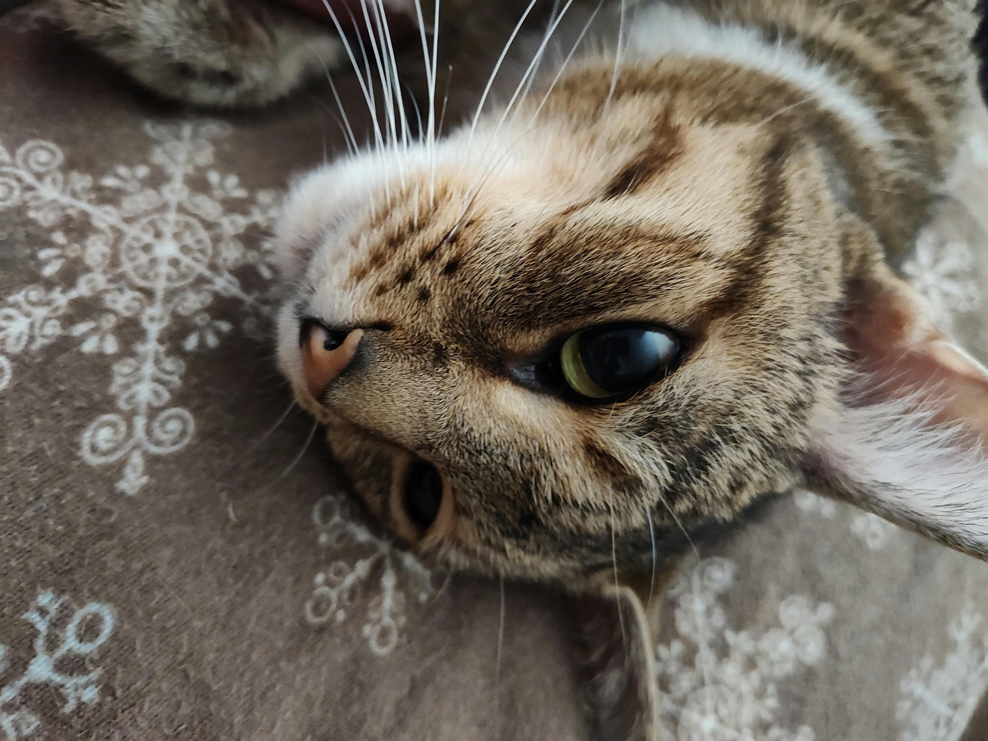 user avatar image for Mickey 