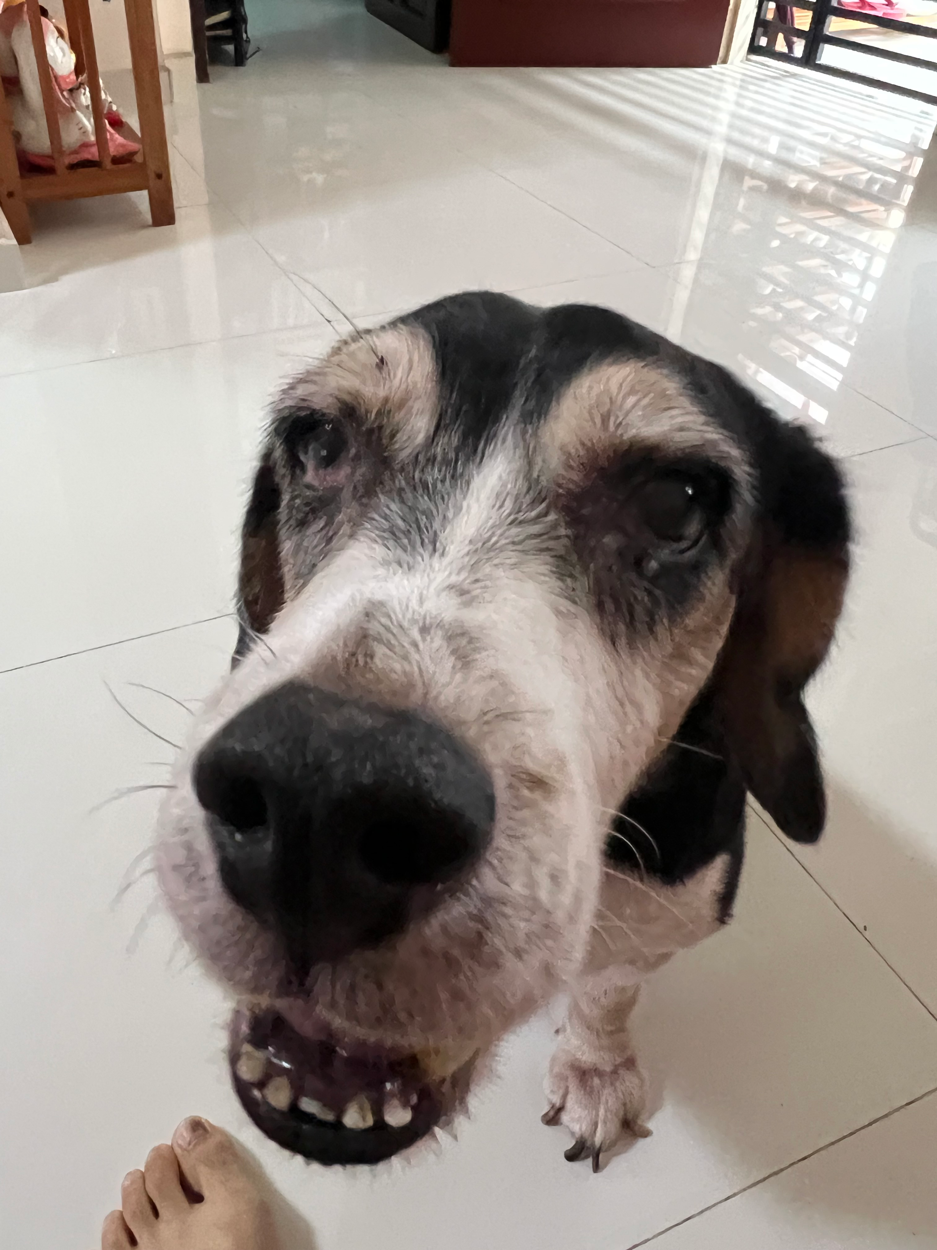 user avatar image for Matt