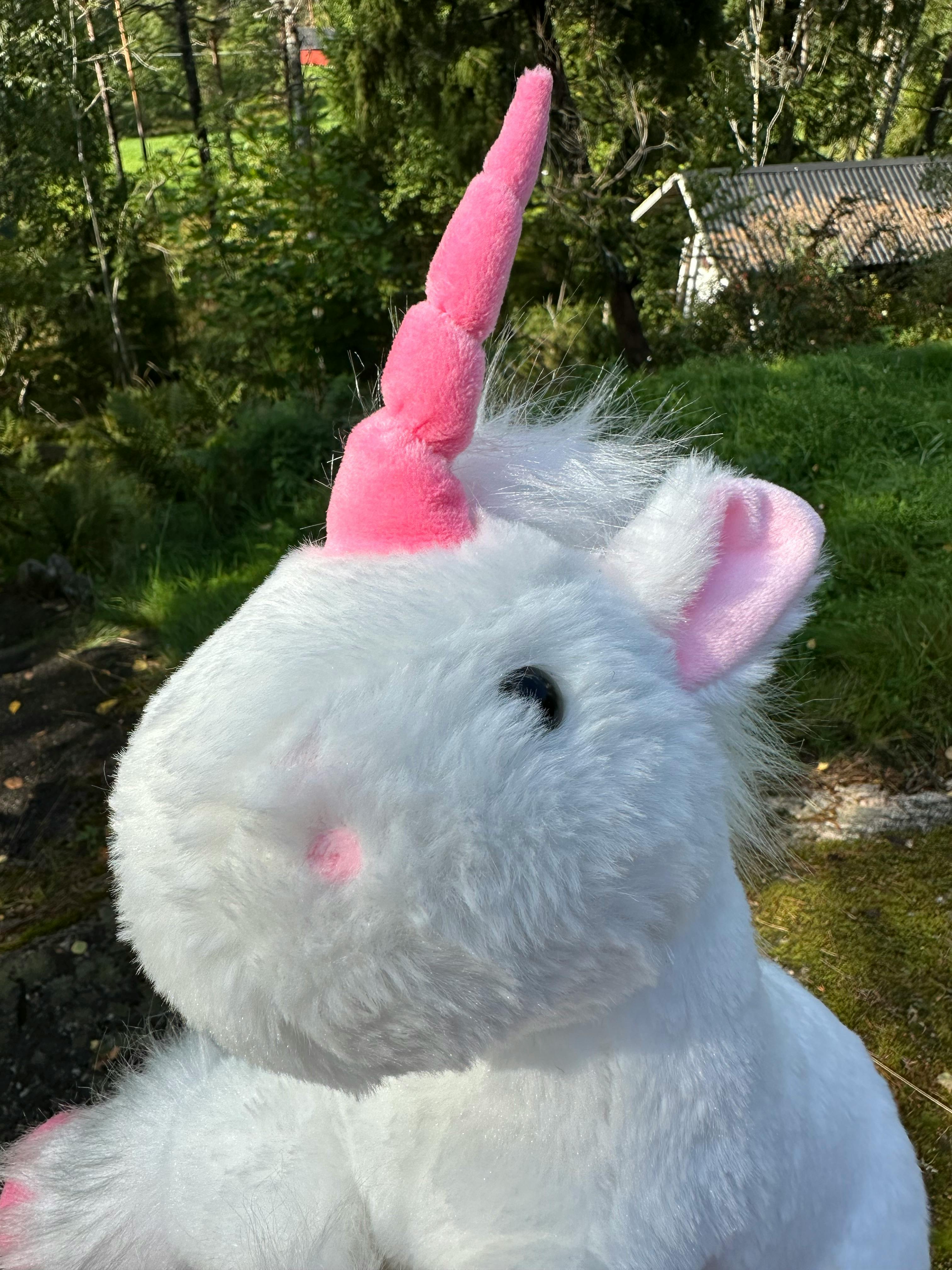 user avatar image for Idahi