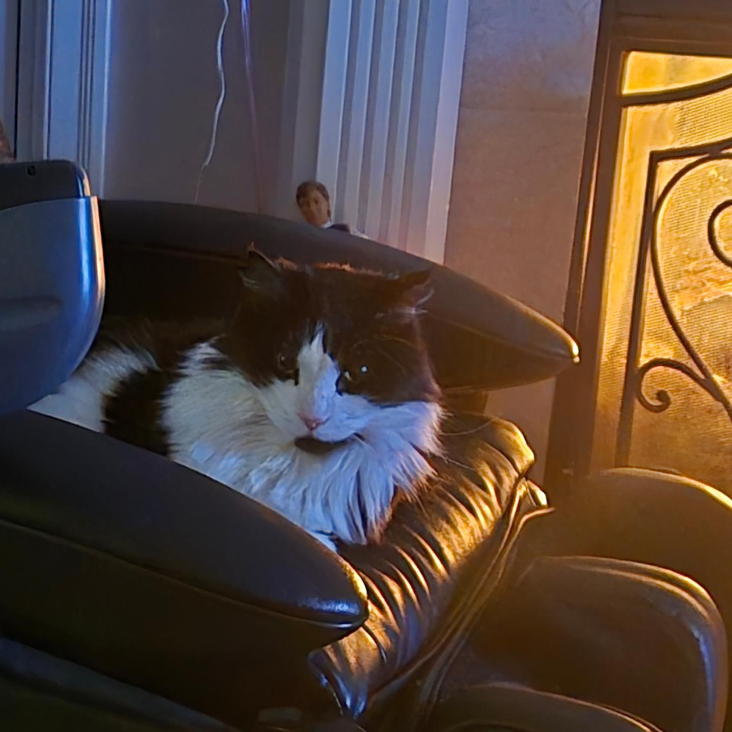 user avatar image for Smiley