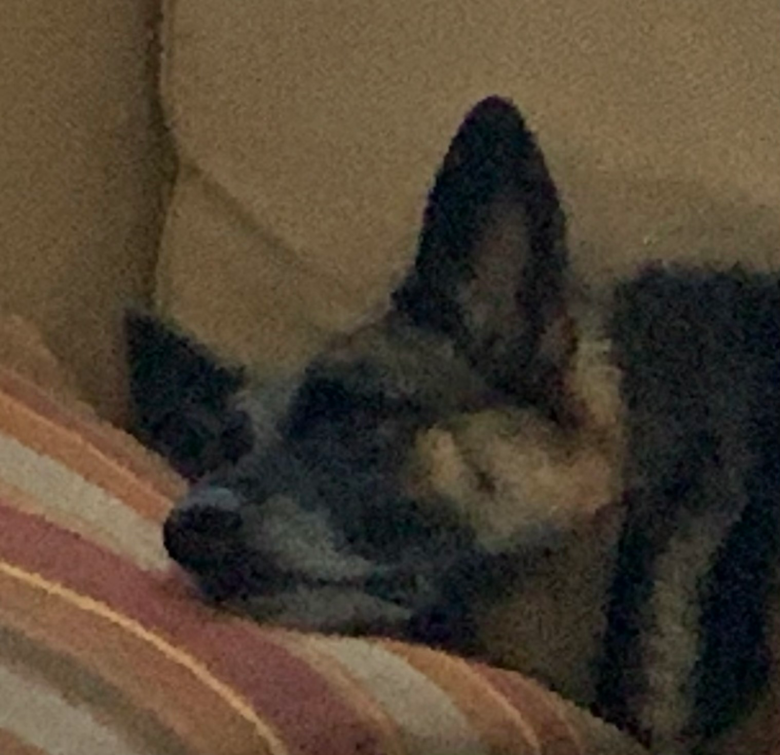 user avatar image for JasonH