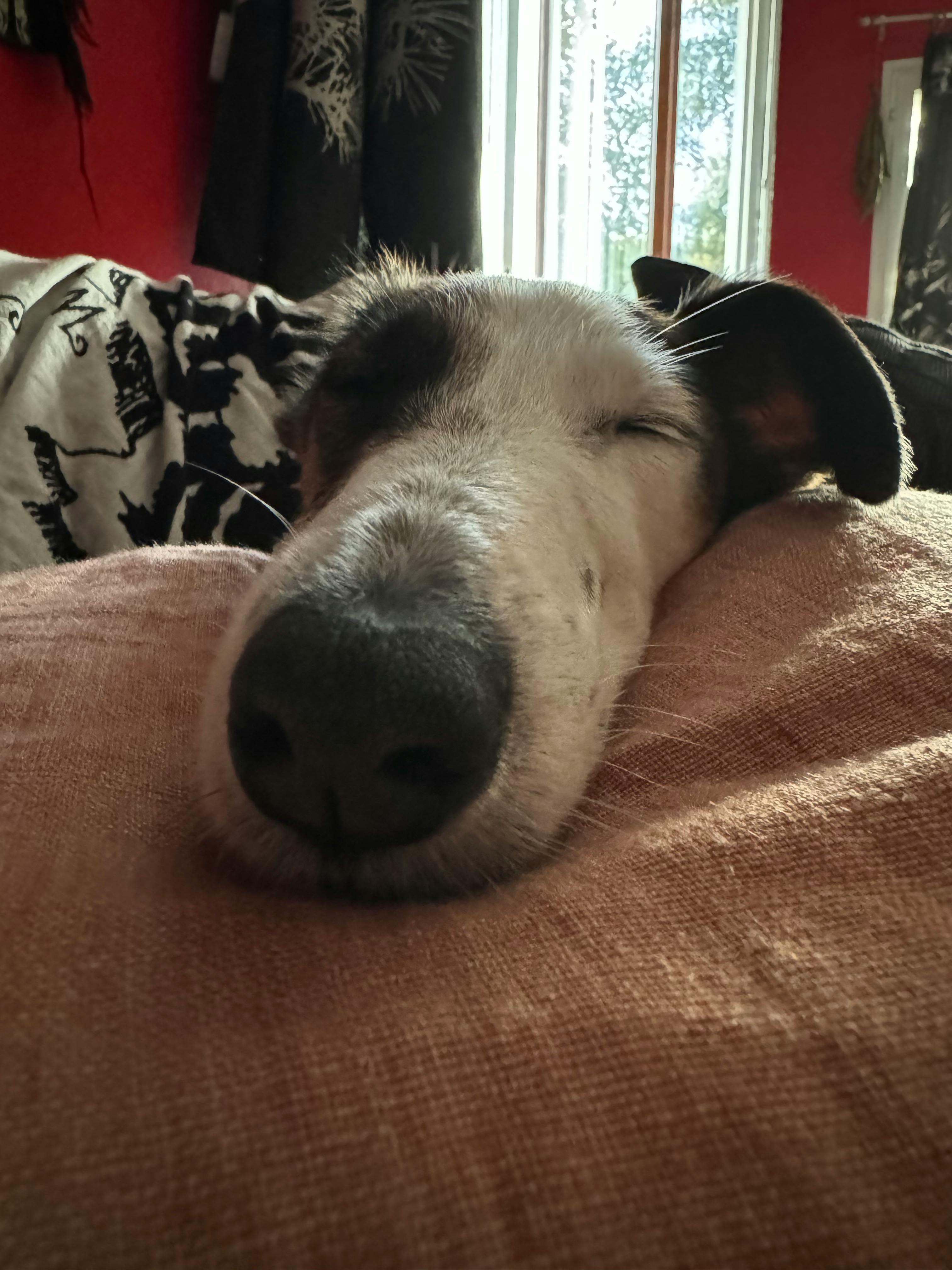 user avatar image for Tilaton