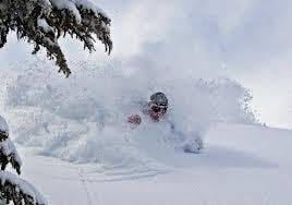 user avatar image for Adam