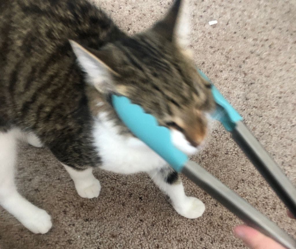 user avatar image for Hemming